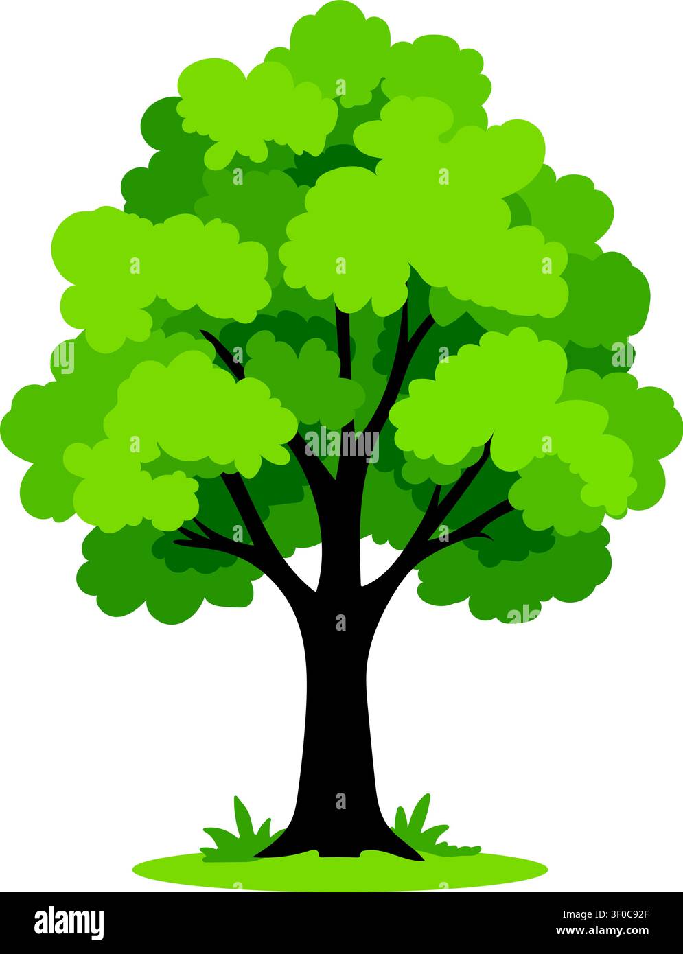 Green Leafy Tree Illustration Isolated on White Background, Flat Nature Vector Design Stock Vector