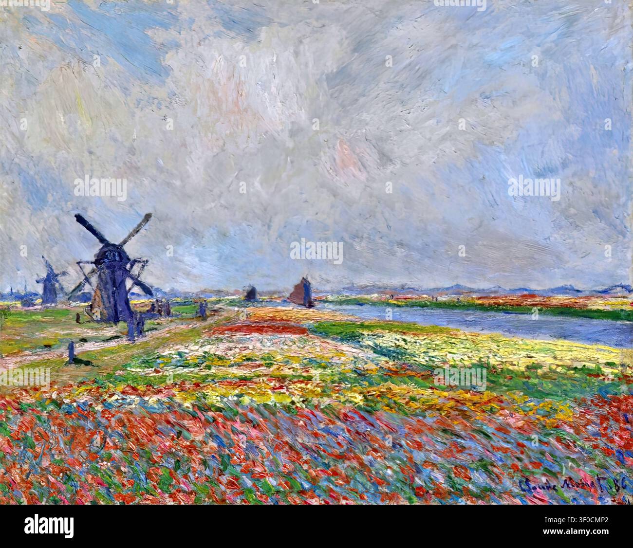 tulip-fields-near-the-hague-