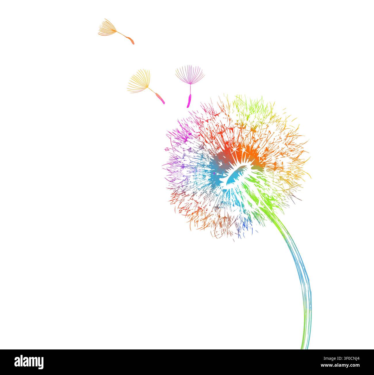 Dandelion colored. Hand drawn. Not AI, vector illustration. Stock Vector
