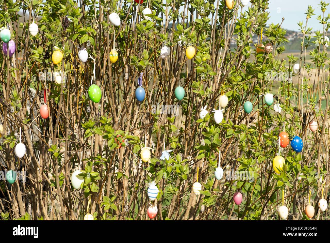 European traditional Easter tree decoration outdoors. Stock Photo