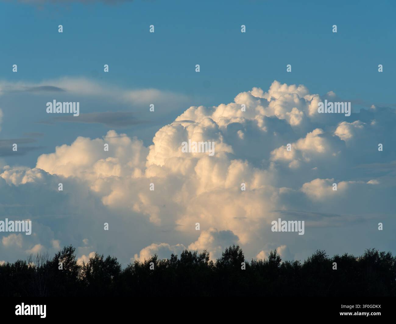 Large, white cumulus clouds over a forest in Quebec,Canada Stock Photo