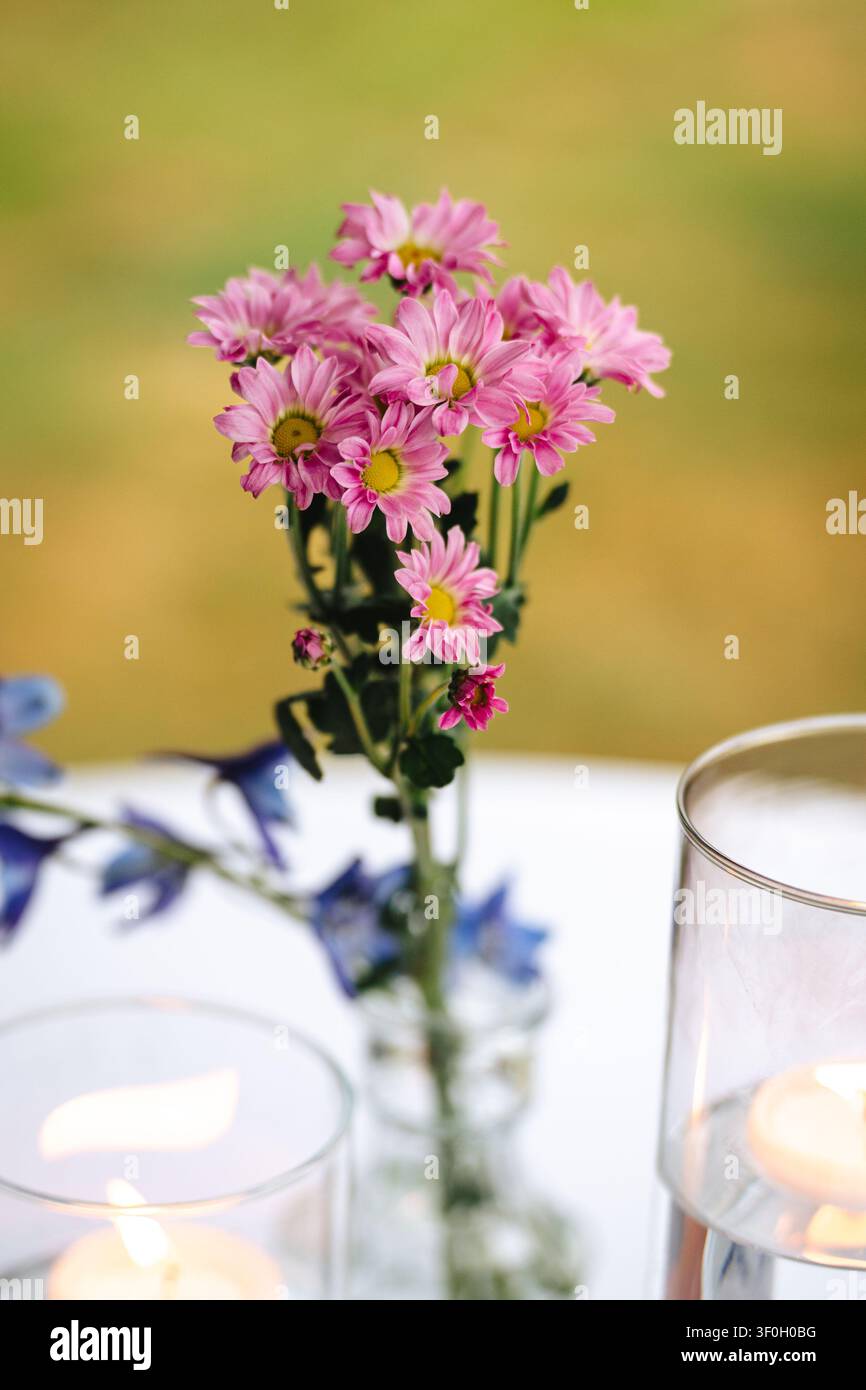 Pink daisy bouquet with candles on table Stock Photo