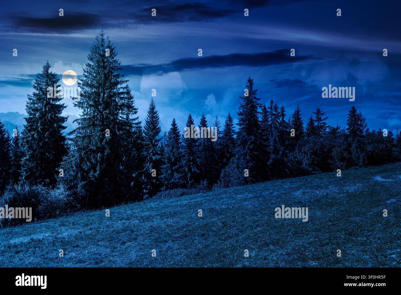 mysterious landscape with coniferous forest in summer at night. fantasy view of mountain landscape in poland. full moon over scenic spruce trees on a Stock Photo
