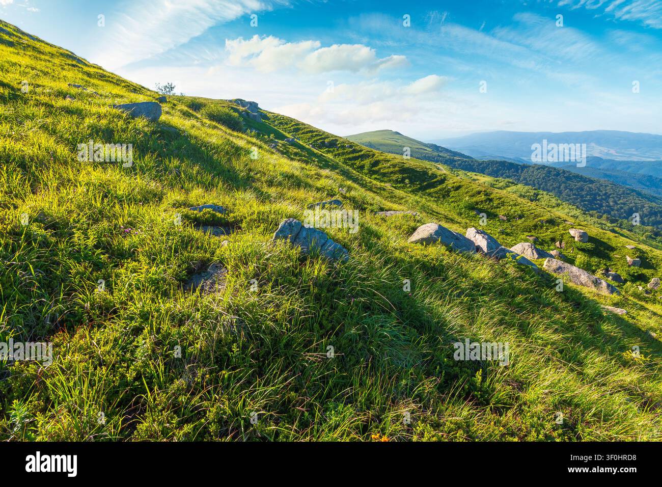 mountain landscape with grass and rock on a slope. view in to the distant valley of carpathian mountains. mountainous scenery of ukraine in summer. gr Stock Photo