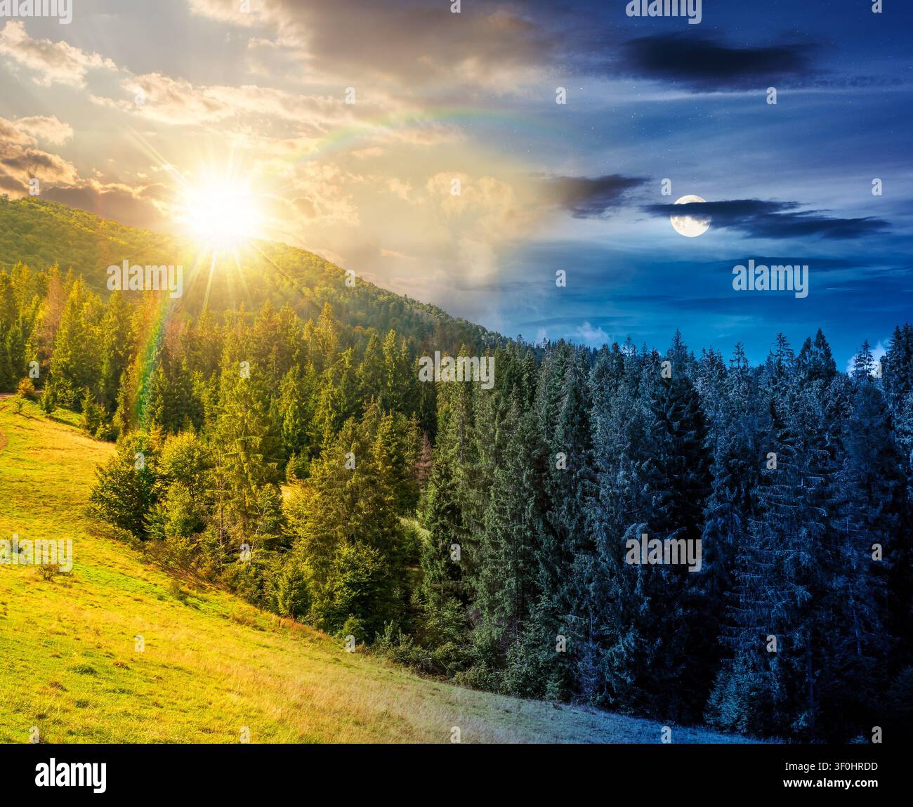 nature scenery with coniferous forest in mountain. day meet night. sun and moon over carpathian landscape with spruce woodland on the hill at twilight Stock Photo