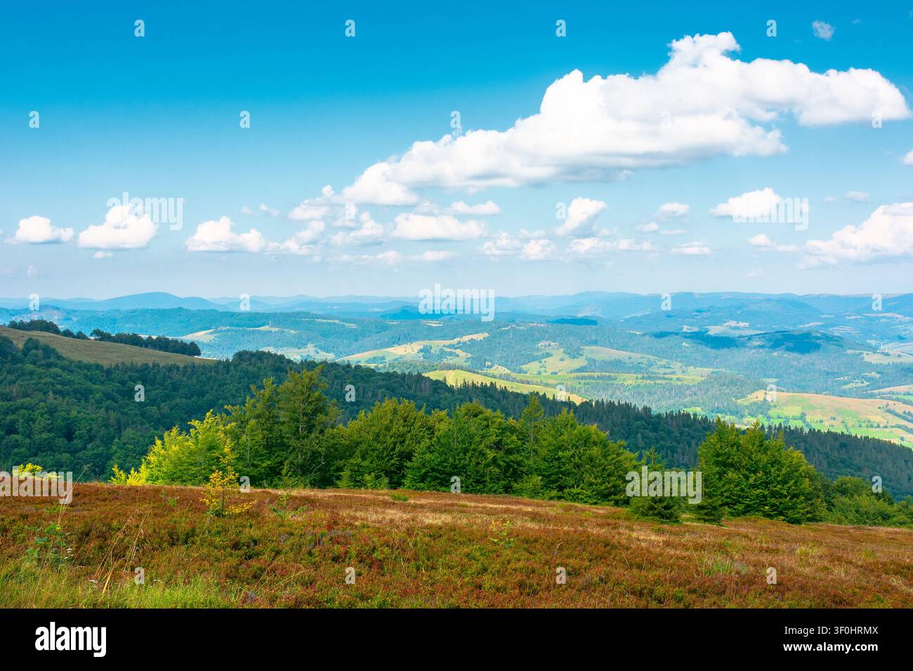 mountainous countryside scenery in the afternoon. view of cloudy sky above the valley. colorful meadows and trees on hill in dappled light. beautiful Stock Photo