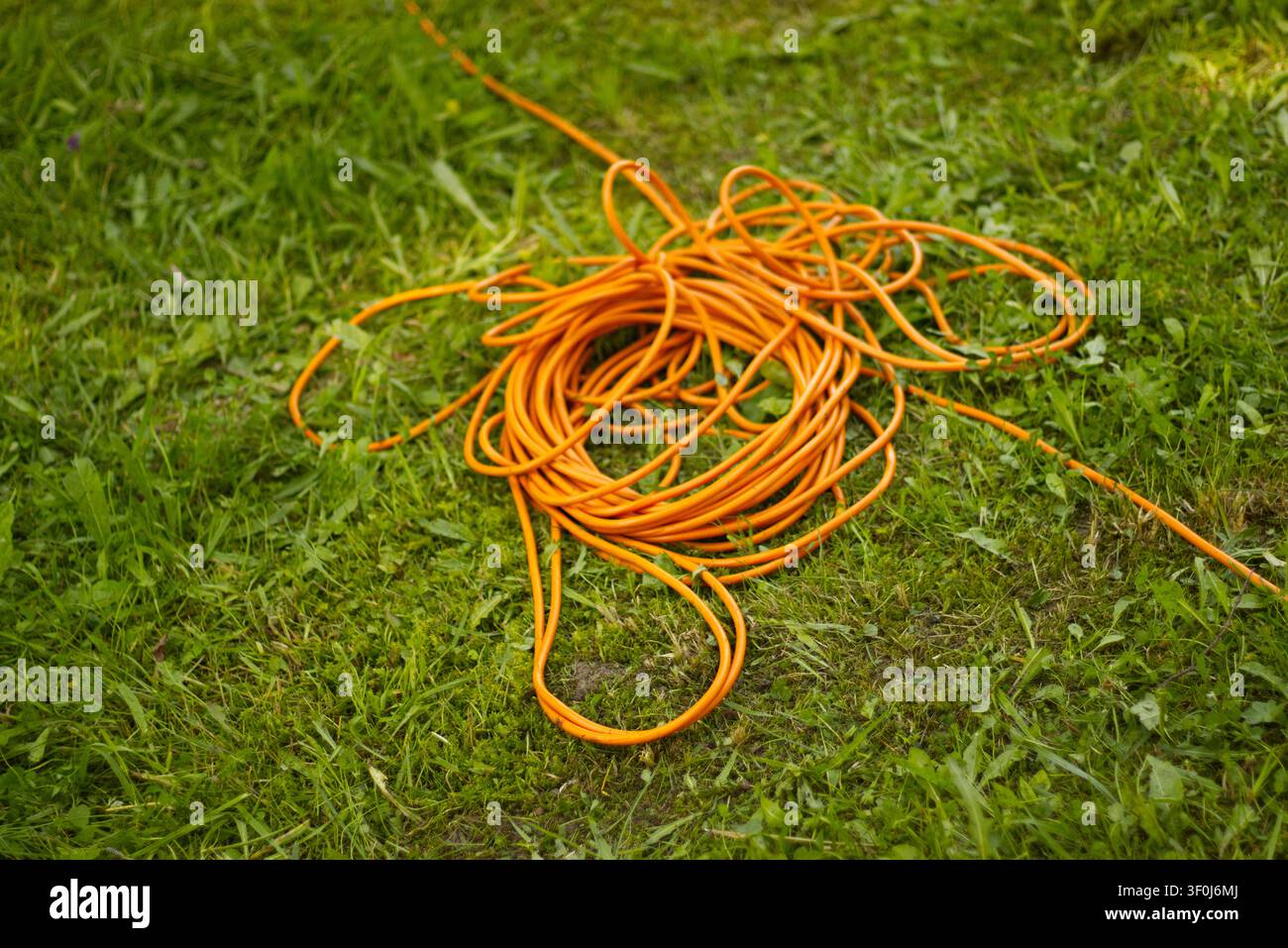 Orange extension cord on green grass Stock Photo