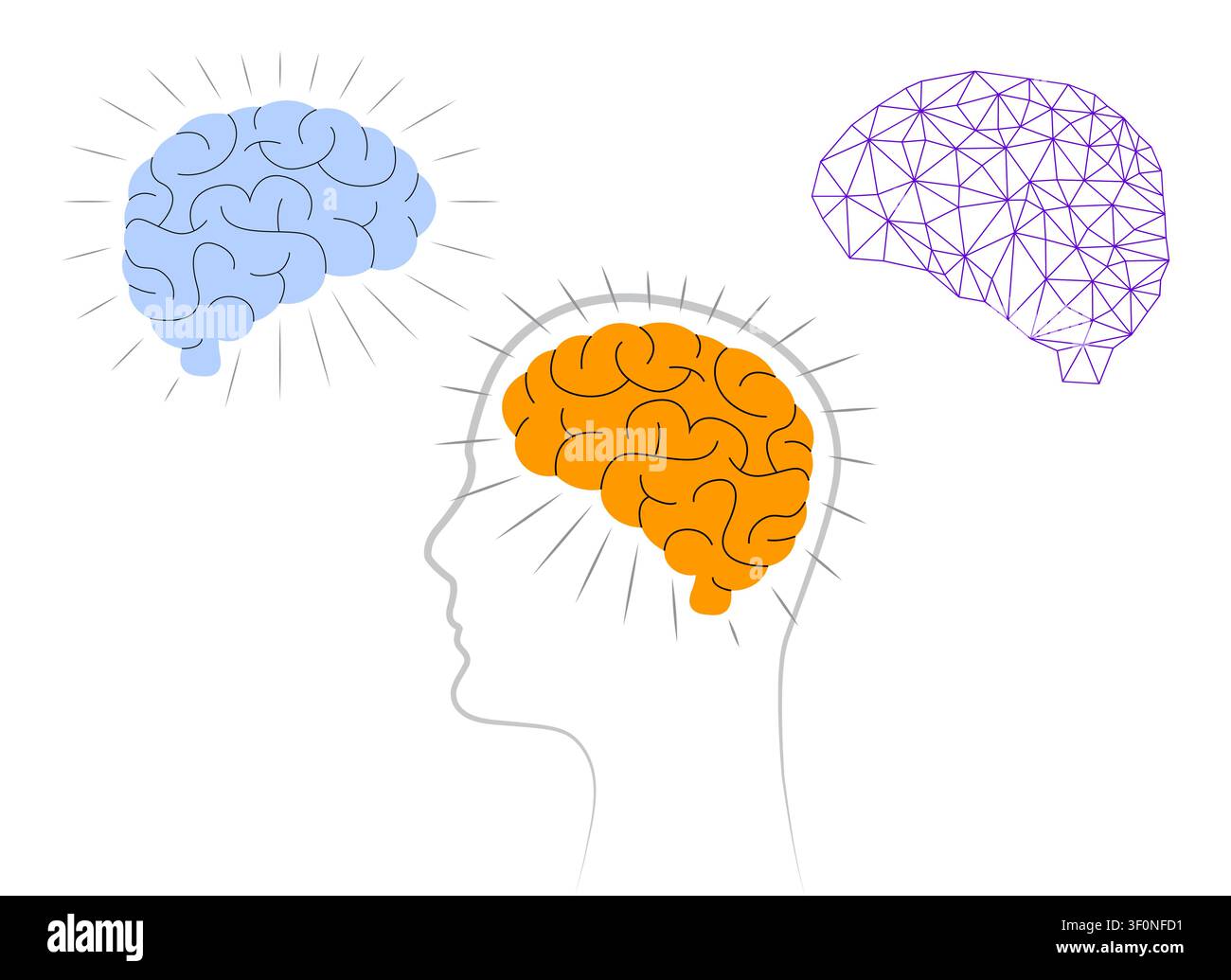Human Head Profile showing Brain Evolution from Sketch to Connected Grid - vector illustration Stock Vector