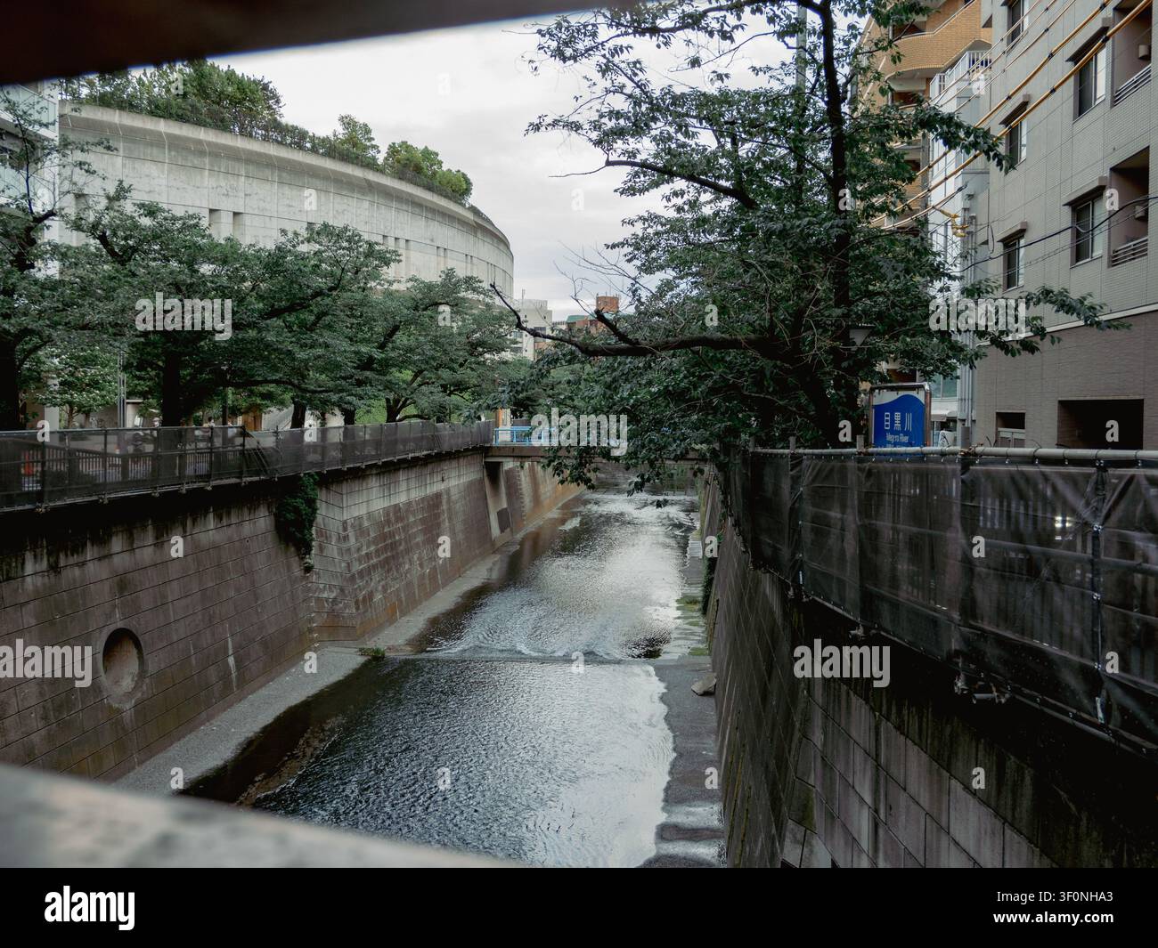 Meguro River flowing over a small weir in a concrete flood control channel lined with green trees, Tokyo, Japan Stock Photo