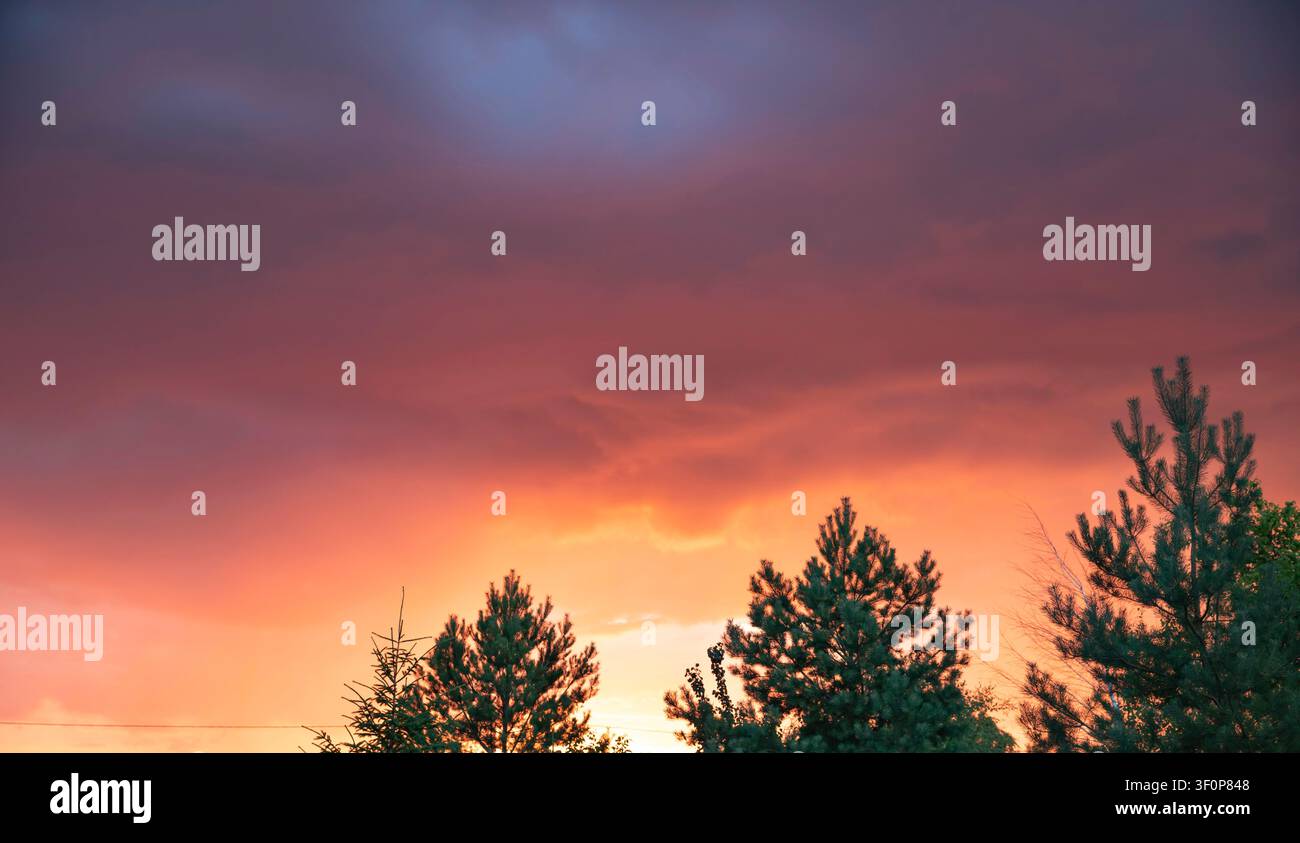 Dramatic Colorful Sunset Sky Above Pine Trees Before Summer Storm Stock Photo