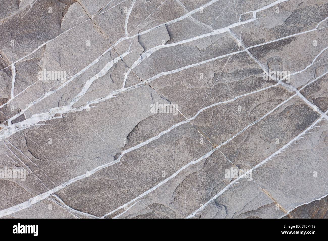 Abstract Gray Stone Surface With White Vein Patterns Stock Photo