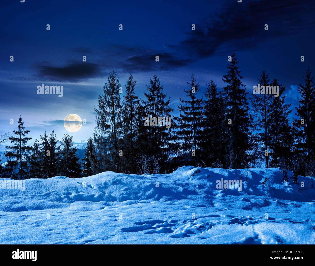 carpathian mountain landscape in winter at night. full moon over spruce forest on the snow covered hill. mountain scenery of ukraine on a cold weather Stock Photo
