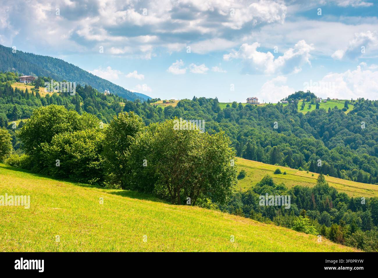 countryside mountain landscape of ukraine. rural fields and forested hills on a sunny day. remote place of mizhhirya district in transcarpathia for su Stock Photo