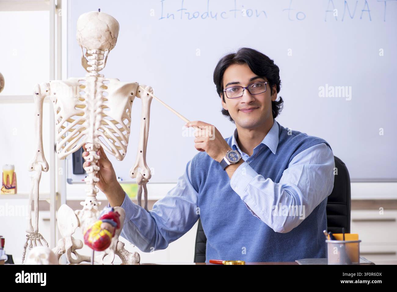 Young lecturer teacher teaching anatomy Stock Photo