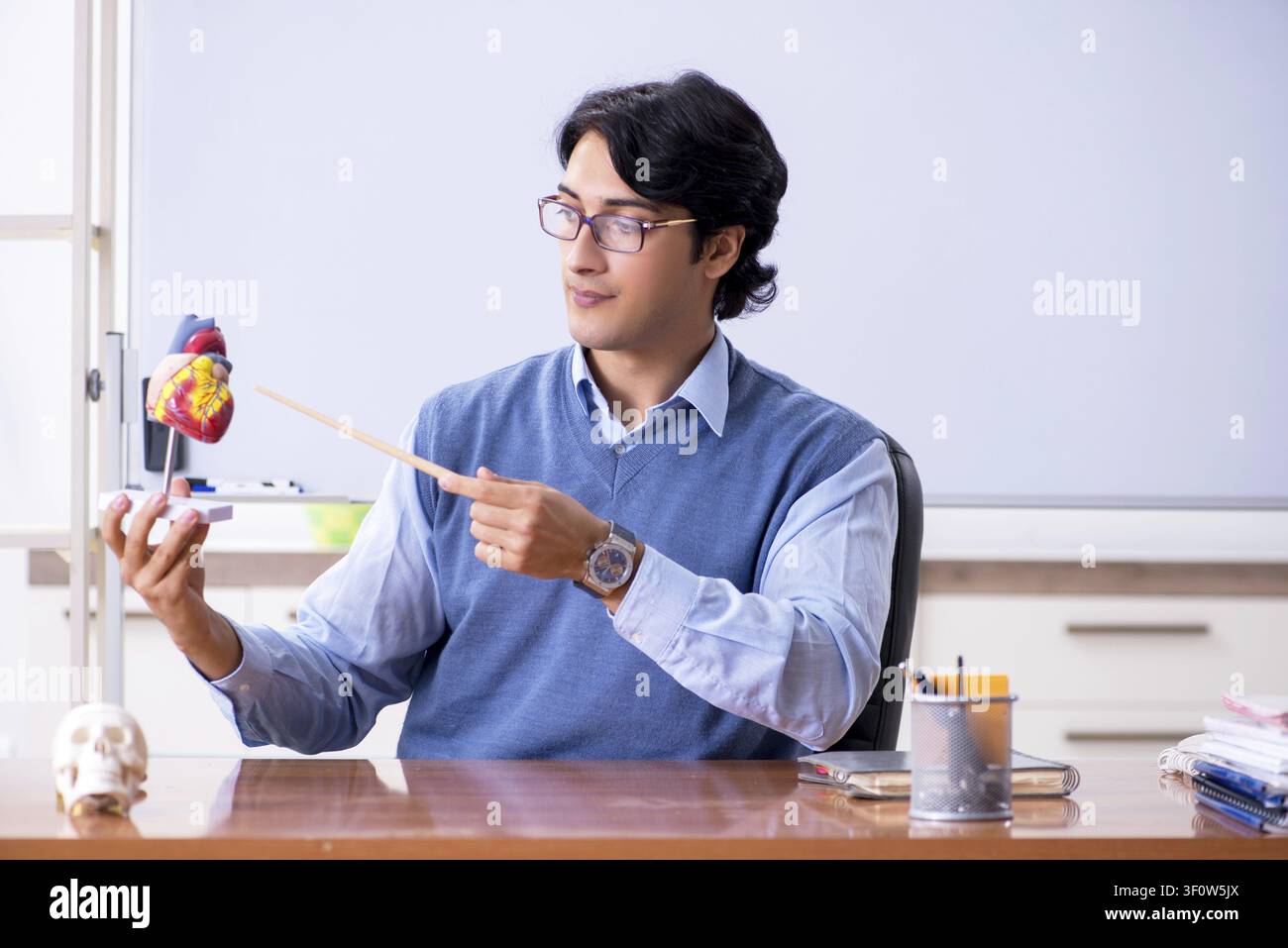 Young lecturer teacher teaching anatomy Stock Photo