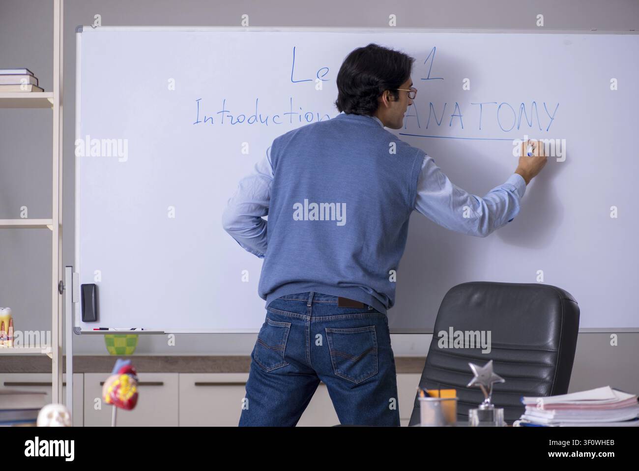 Young lecturer teacher teaching anatomy Stock Photo