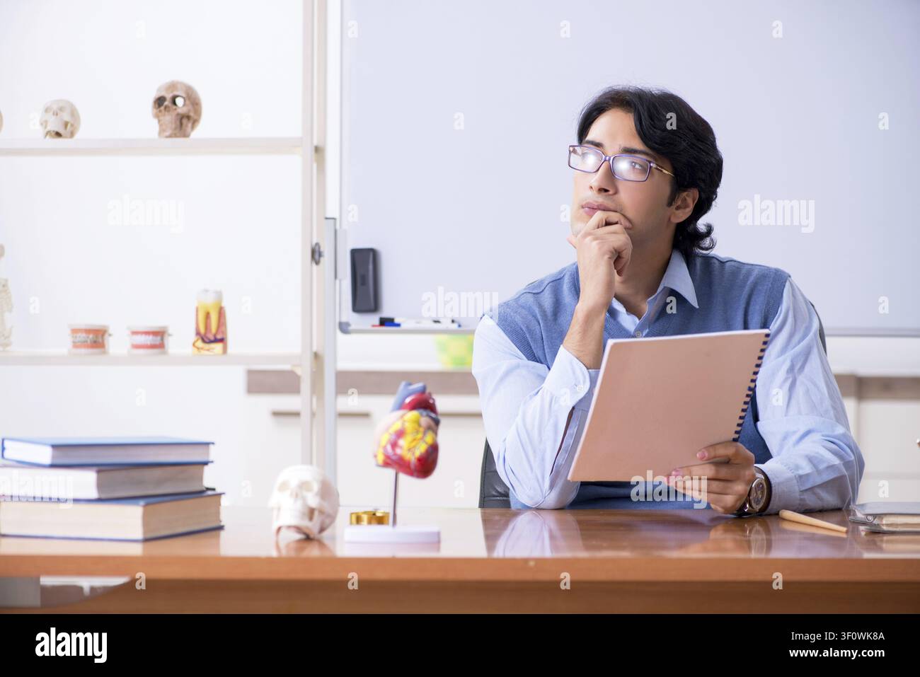 Young lecturer teacher teaching anatomy Stock Photo