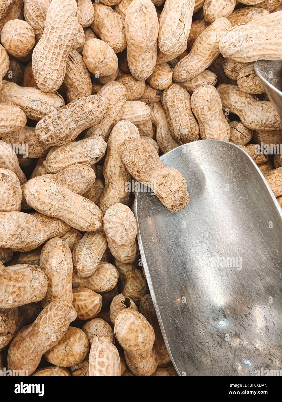 Peanuts In Shell With Metal Scooter  Stock Photo