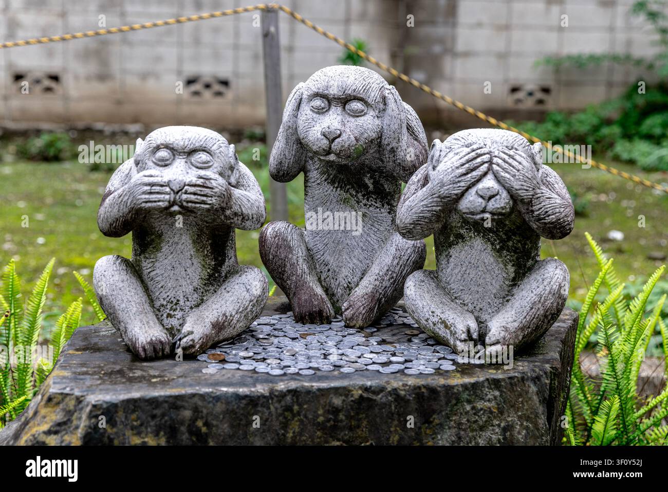 Iwazaru hi-res stock photography and images - Alamy