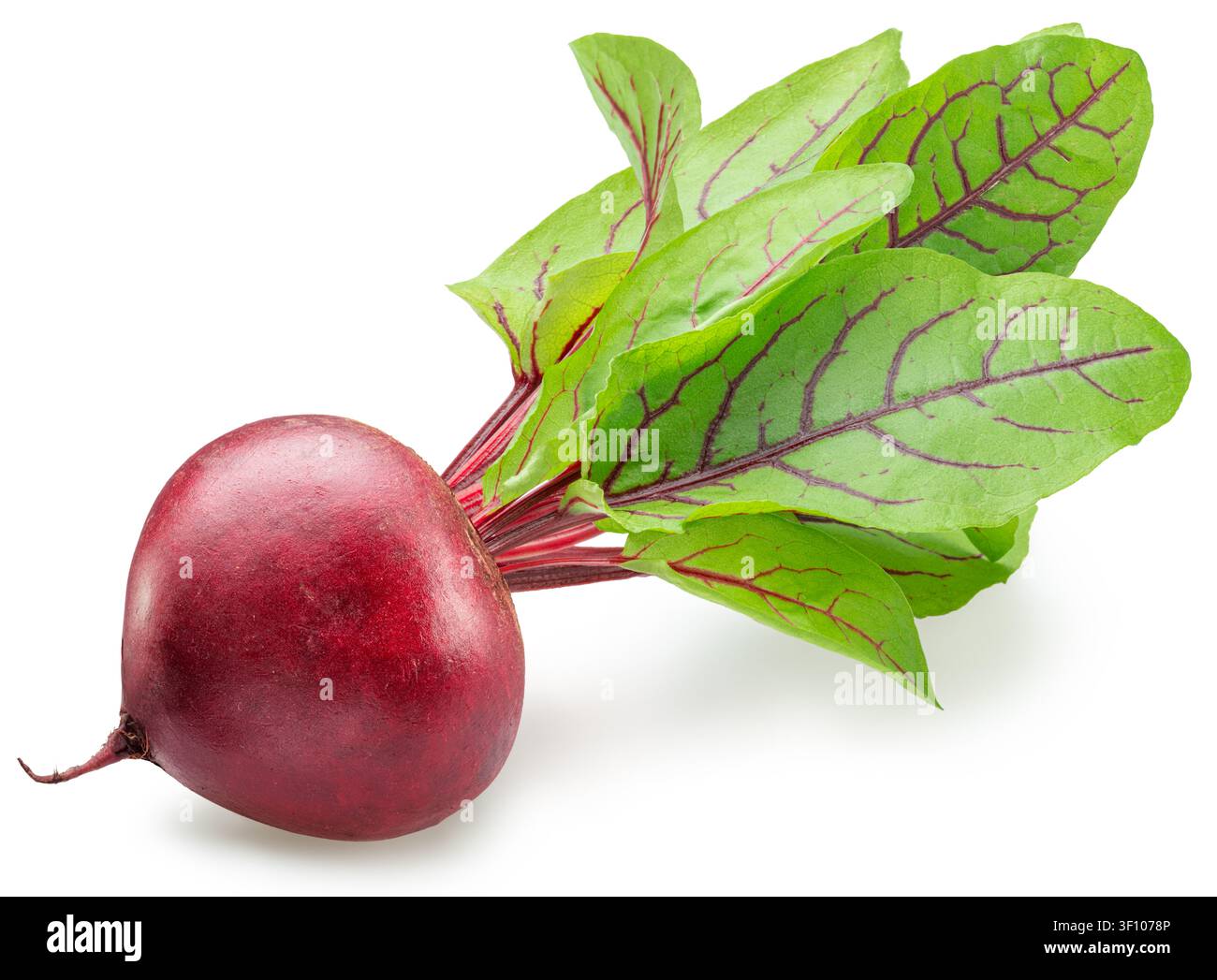 Red beetroot with beet leaves isolated on a white background. Clipping path. Stock Photo