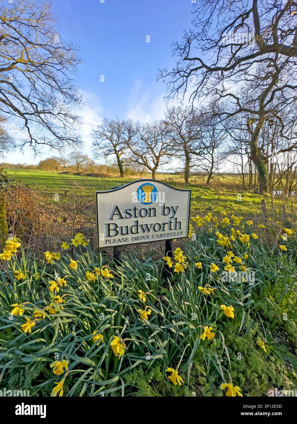 Aston by Budworth village sign surrounded by yellow daffodils in the rural Cheshire countryside near Northwich, England. Stock Photo