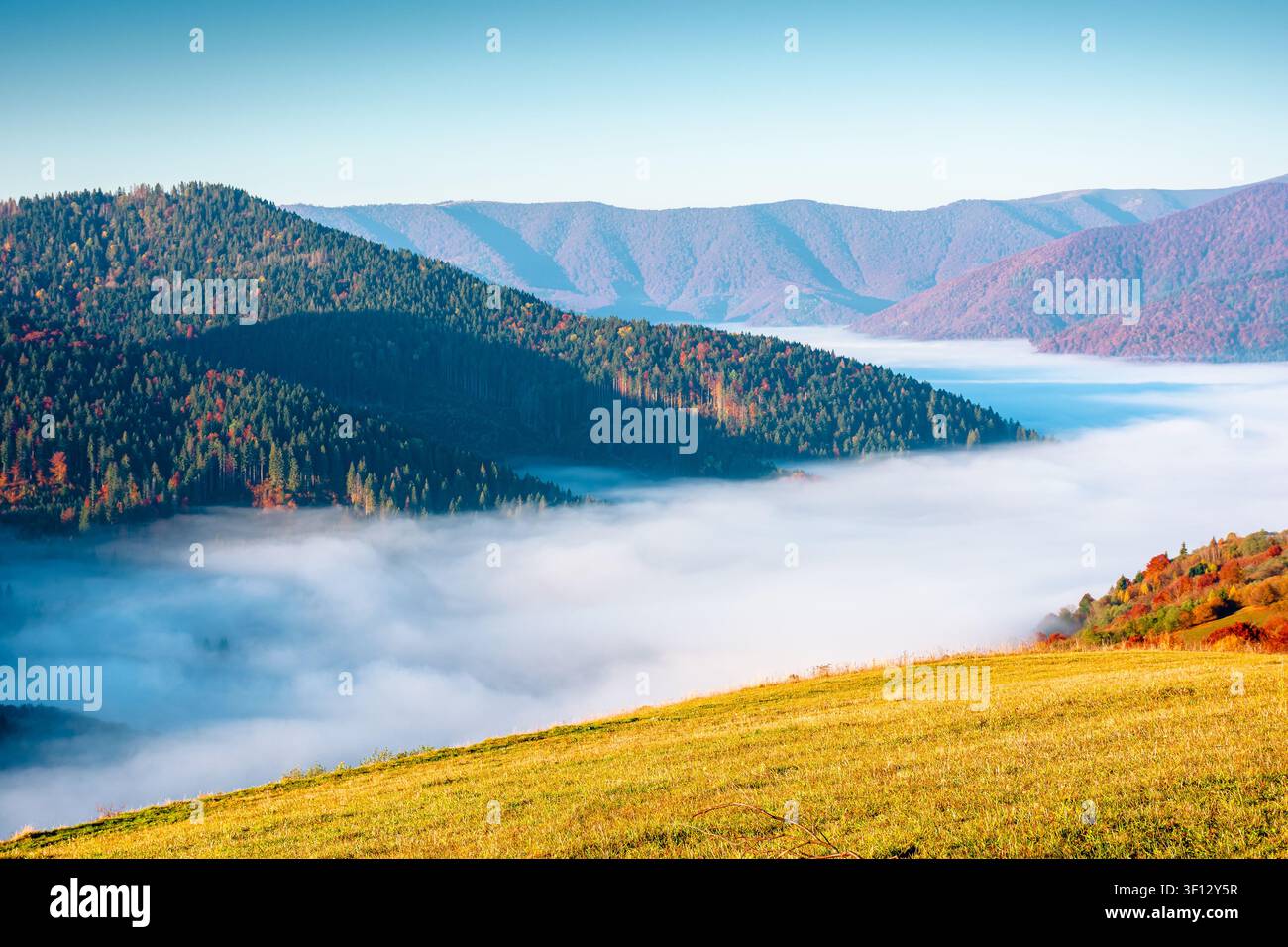 valley in morning fog. carpathian mountain landscape in autumn. scenic view of an alpine countryside in fall season Stock Photo