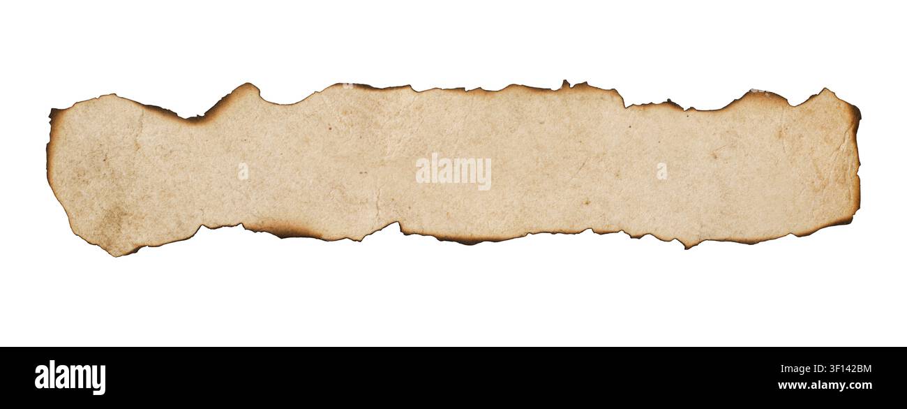 Empty Old Parchment with Burned Edges Isolated on White Background Stock Photo