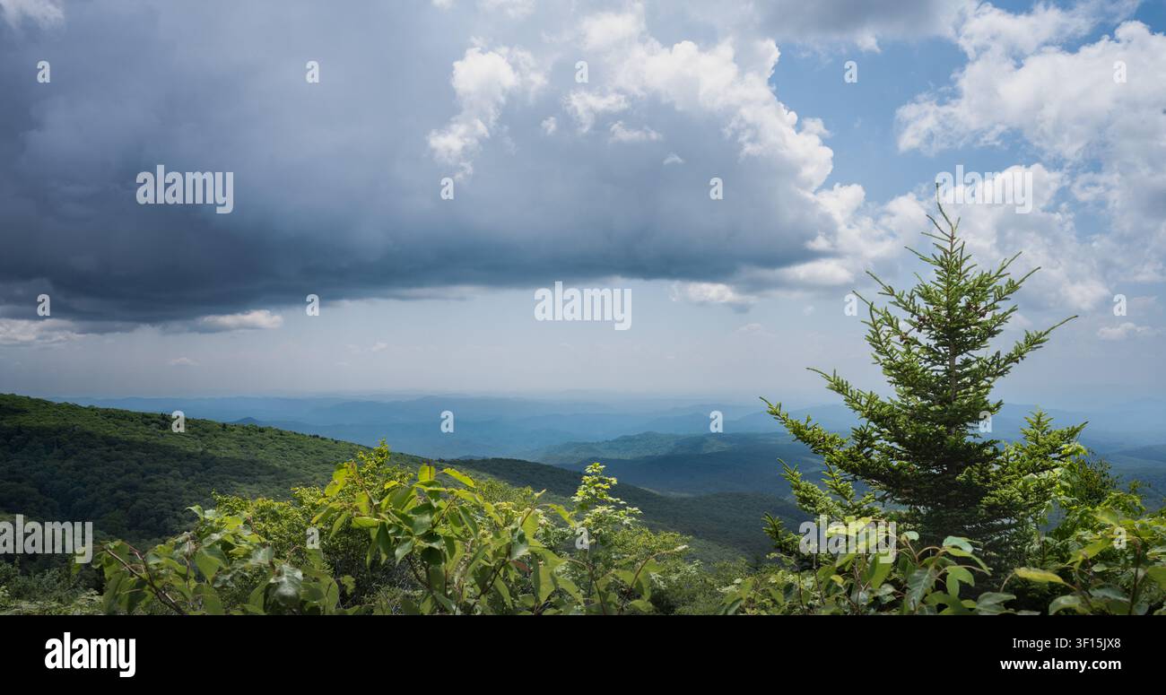 A large storm cloud moves over forested Blue Ridge mountain ridges and an evergreen tree on Grandfather Mountain in North Carolina. Stock Photo