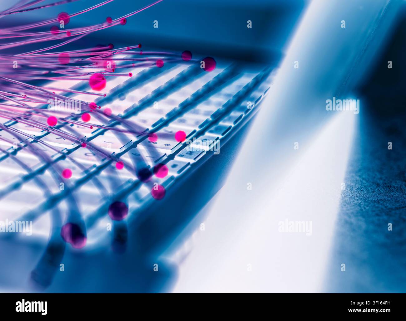 Fibre optics carrying data to a laptop. Stock Photo