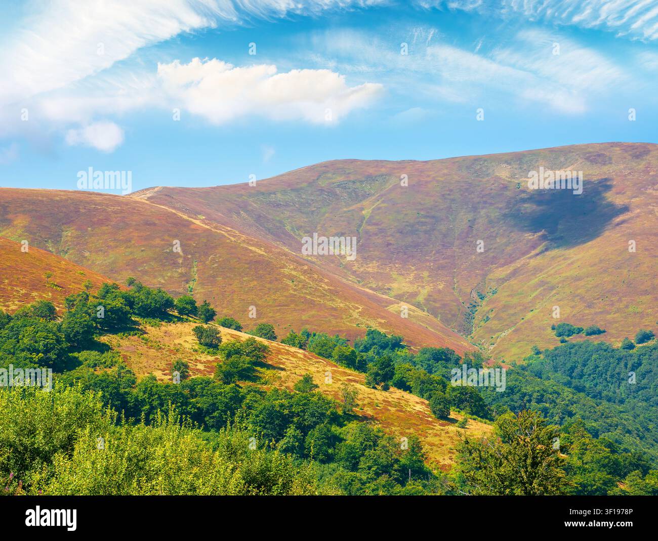 carpathian mountain landscape. travel ukraine in summer. colorful slopes of borzhava mountain ridge in august. wonderful carpathian adventure Stock Photo