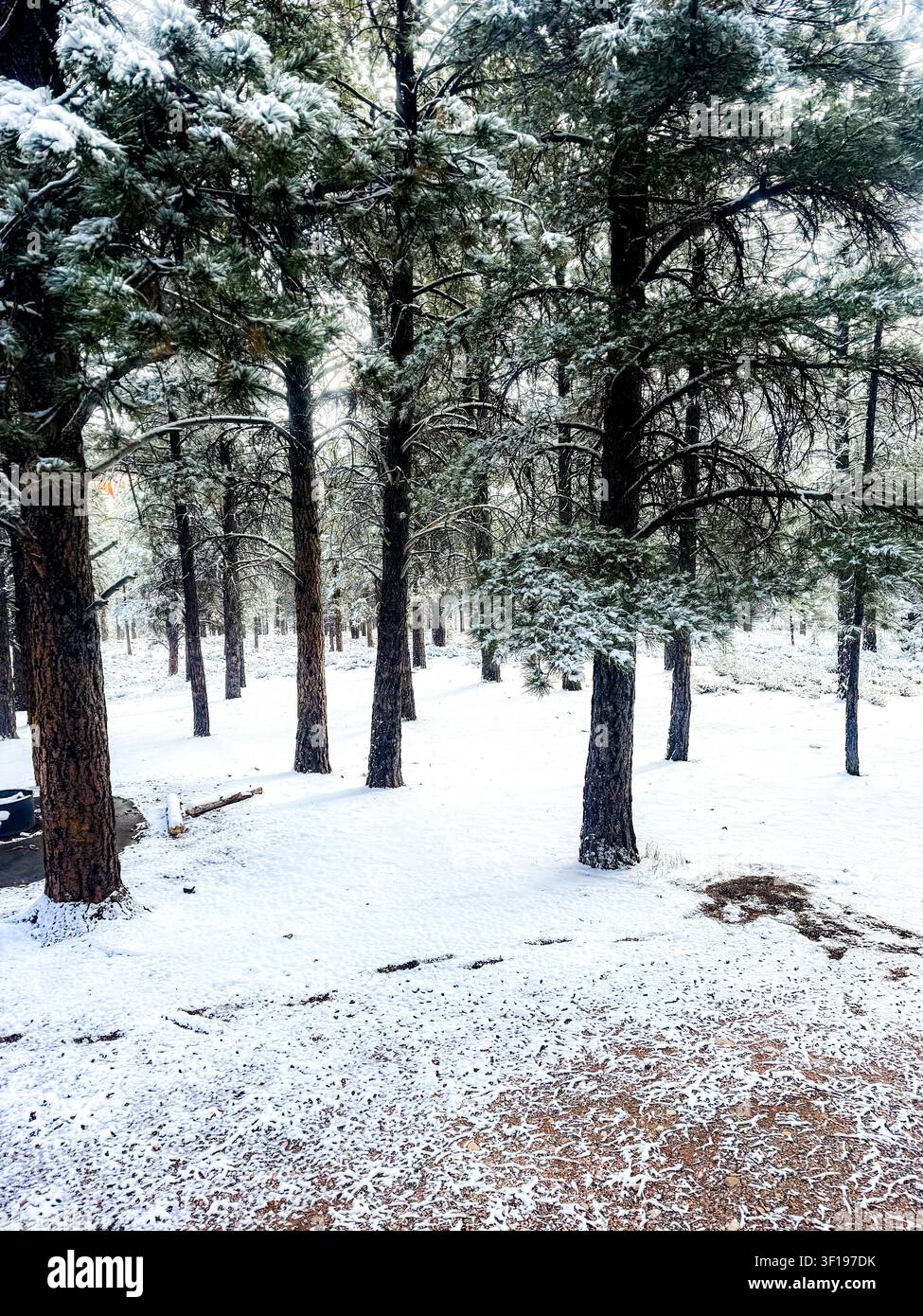 Winter in Utah - Smartphone Captured Stock Image