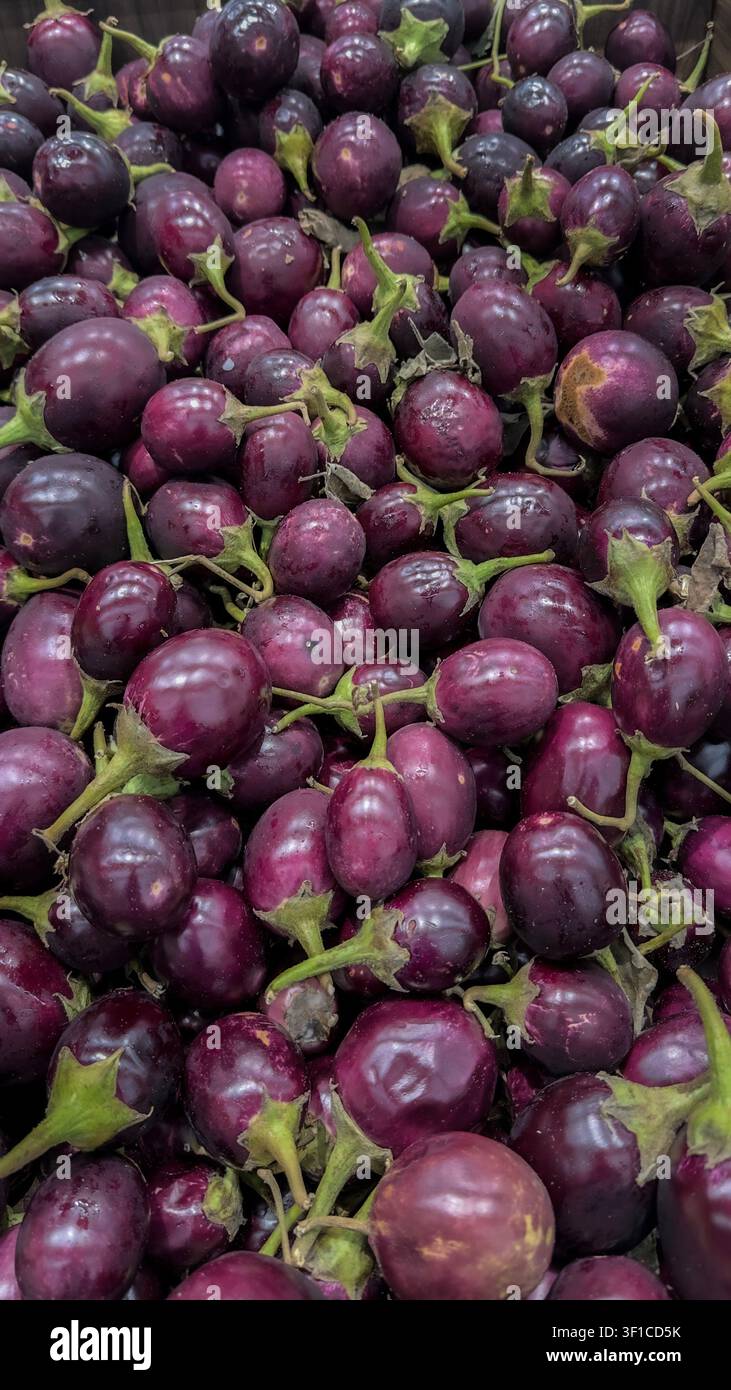 A store display of Indian or Thai Eggplants. Stock Photo