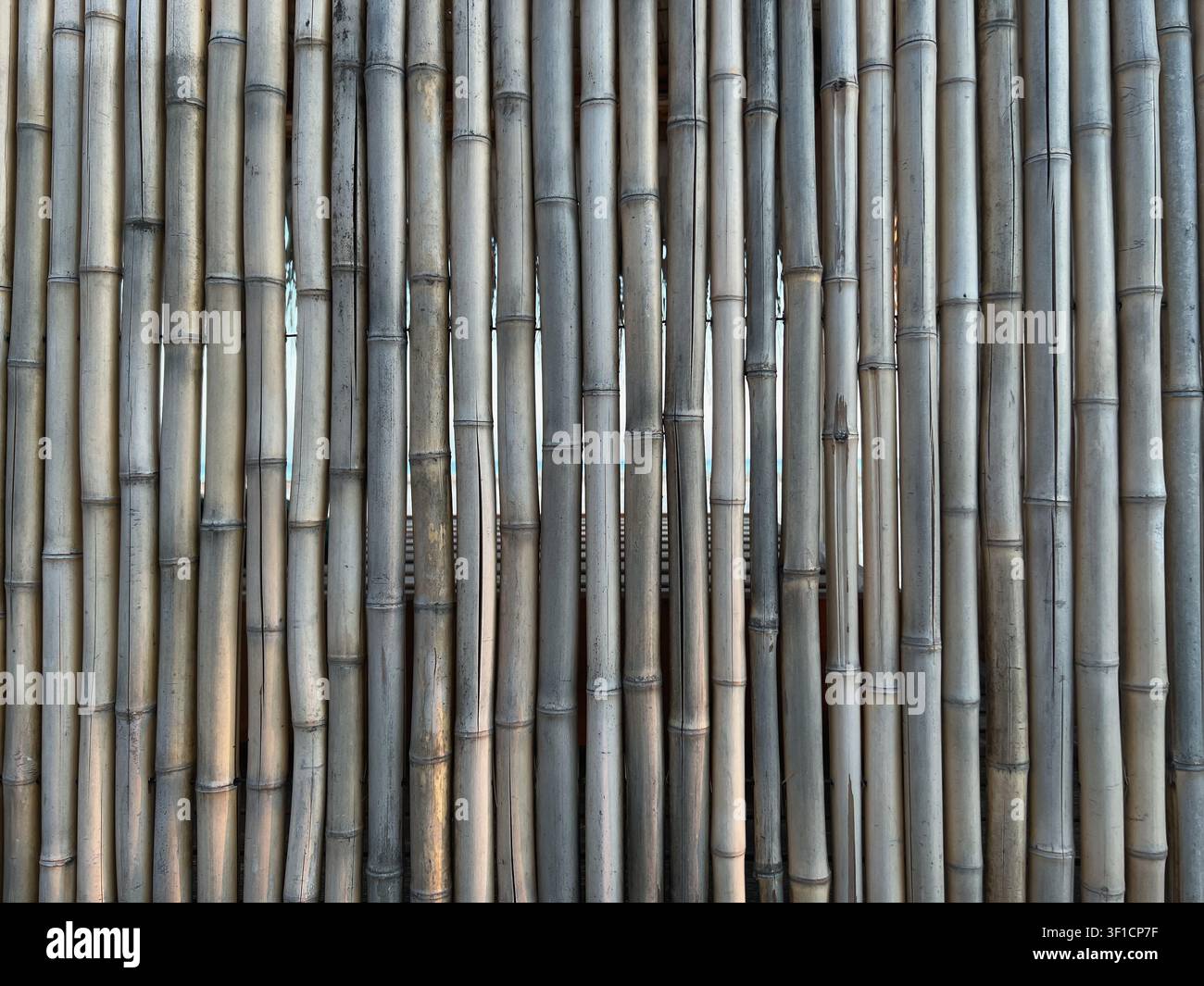 Dense Bamboo Pattern Vertical Natural Texture Background Stock Photo