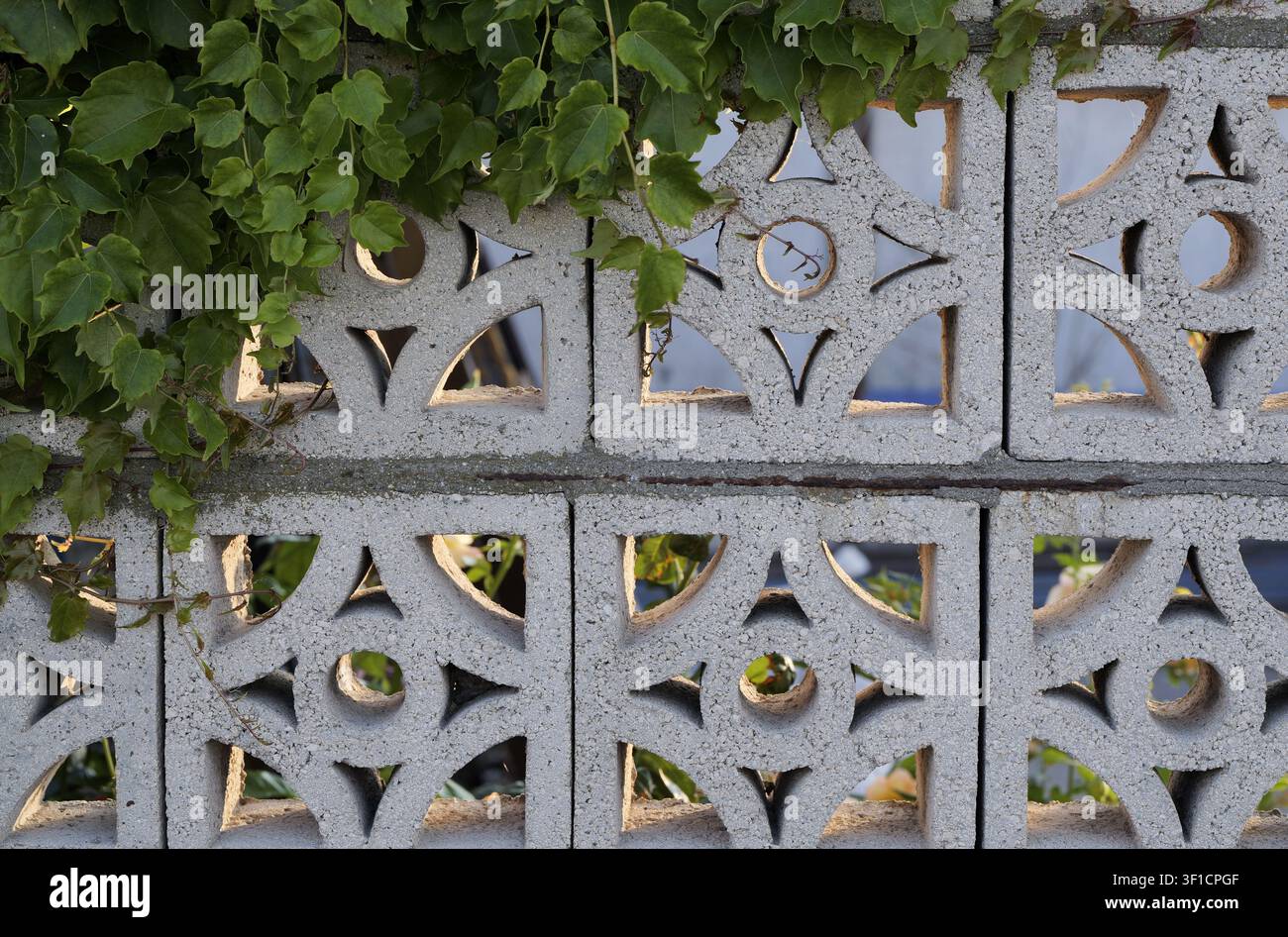 Ivy vine growing over a textured breeze block wall featuring a repetitive geometric pattern with various shapes, creating an architectural detail and Stock Photo