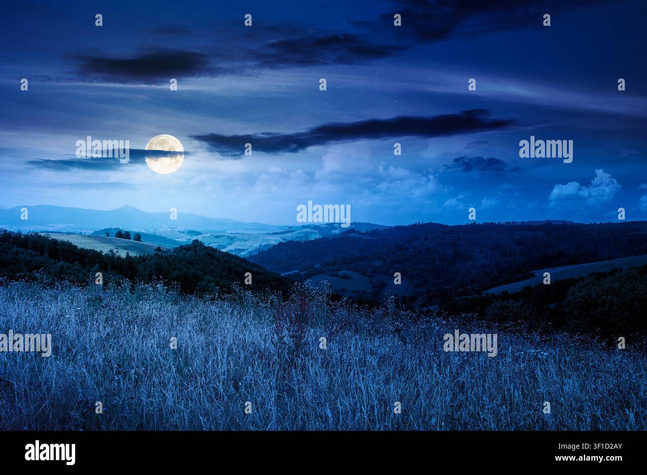 countryside mountain landscape in summer at night. full moon over lush grassy pasture on a hill near forest. rural outdoor adventure background. myste Stock Photo