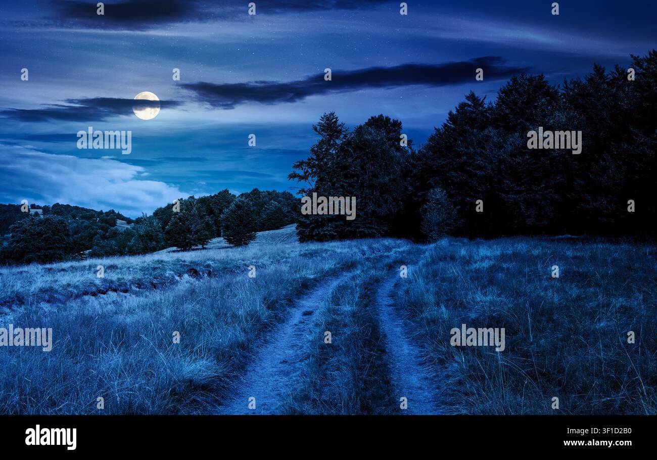 dirt road through grassy hills at night. full moon over mountain landscape with beech forest along the path. mysterious countryside. late summer scene Stock Photo