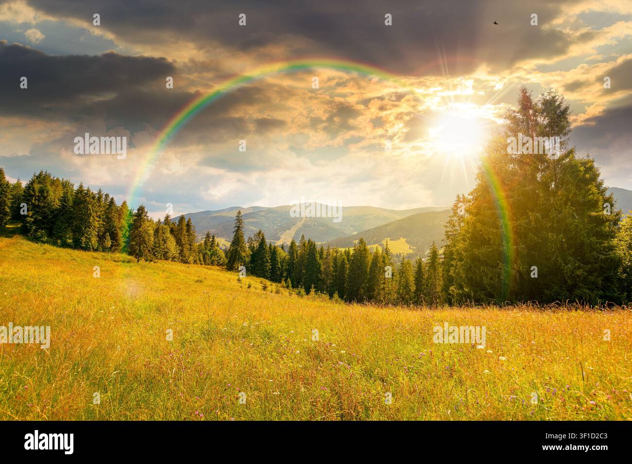 sunset over countryside mountain landscape in summer. lush grassy pasture on a hill near forest. rural outdoor adventure background. alpine highland o Stock Photo