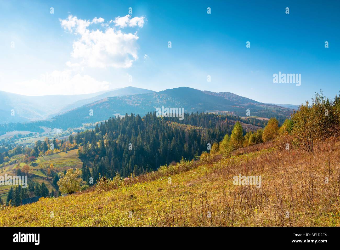 countryside mountain landscape in autumn. weathered grassy field on a hill near forest. rural outdoor adventure background. alpine highland of ukraine Stock Photo