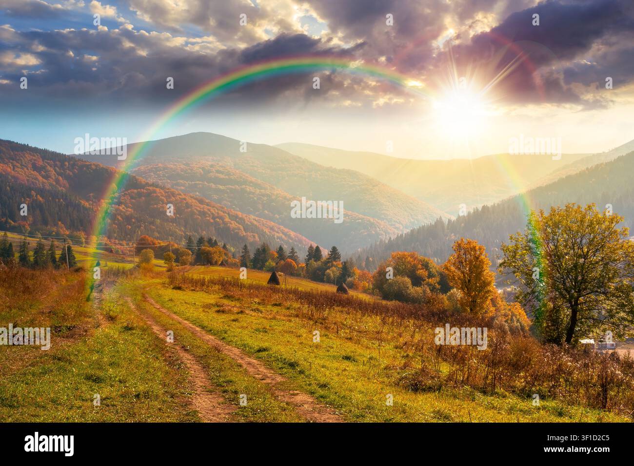 countryside mountain landscape in autumn. weathered grassy field on a hill near forest. rural sunset background. alpine highland of ukraine in evening Stock Photo