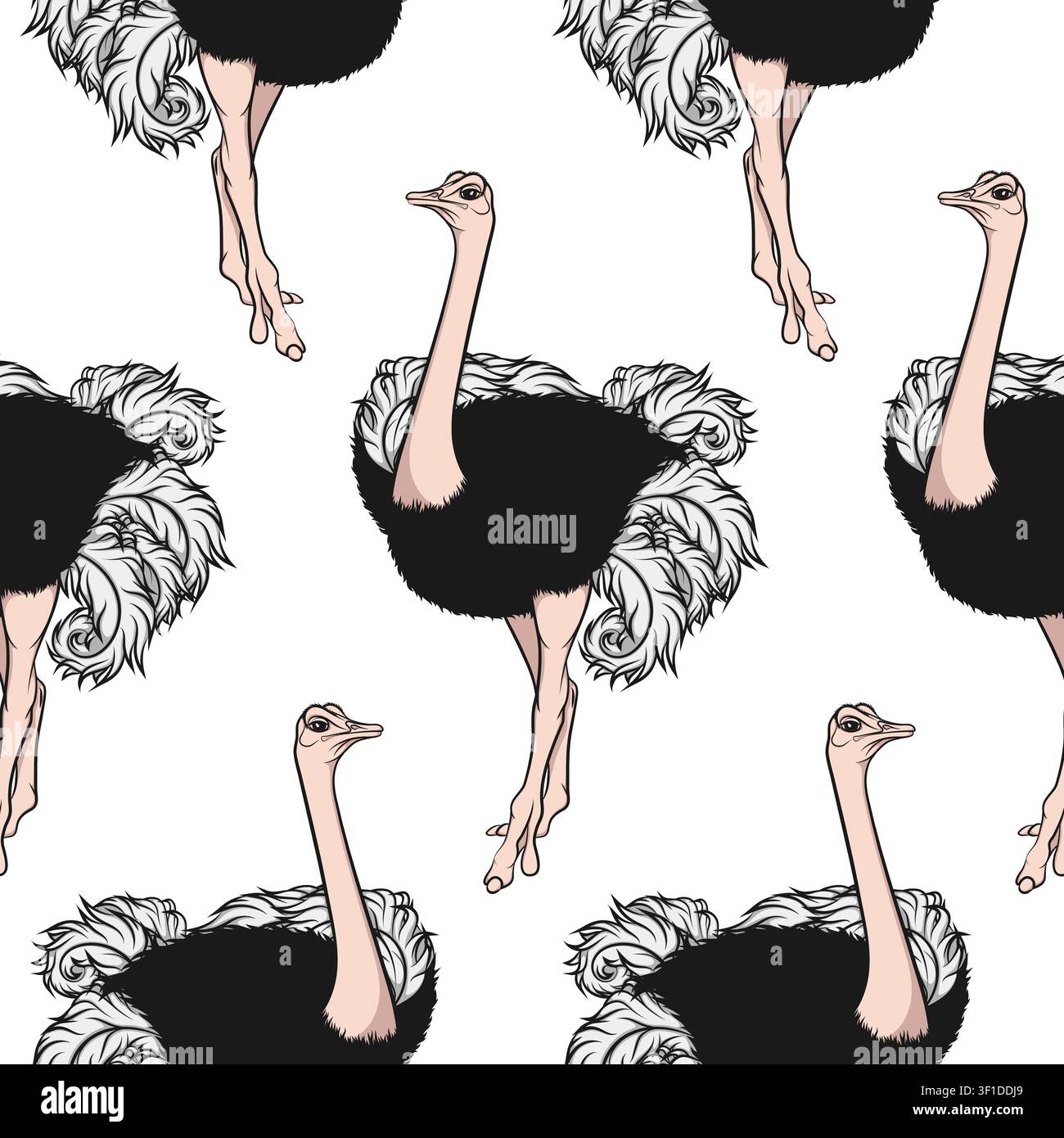 Seamless pattern with an African ostrich. Colored vector background. Stock Vector