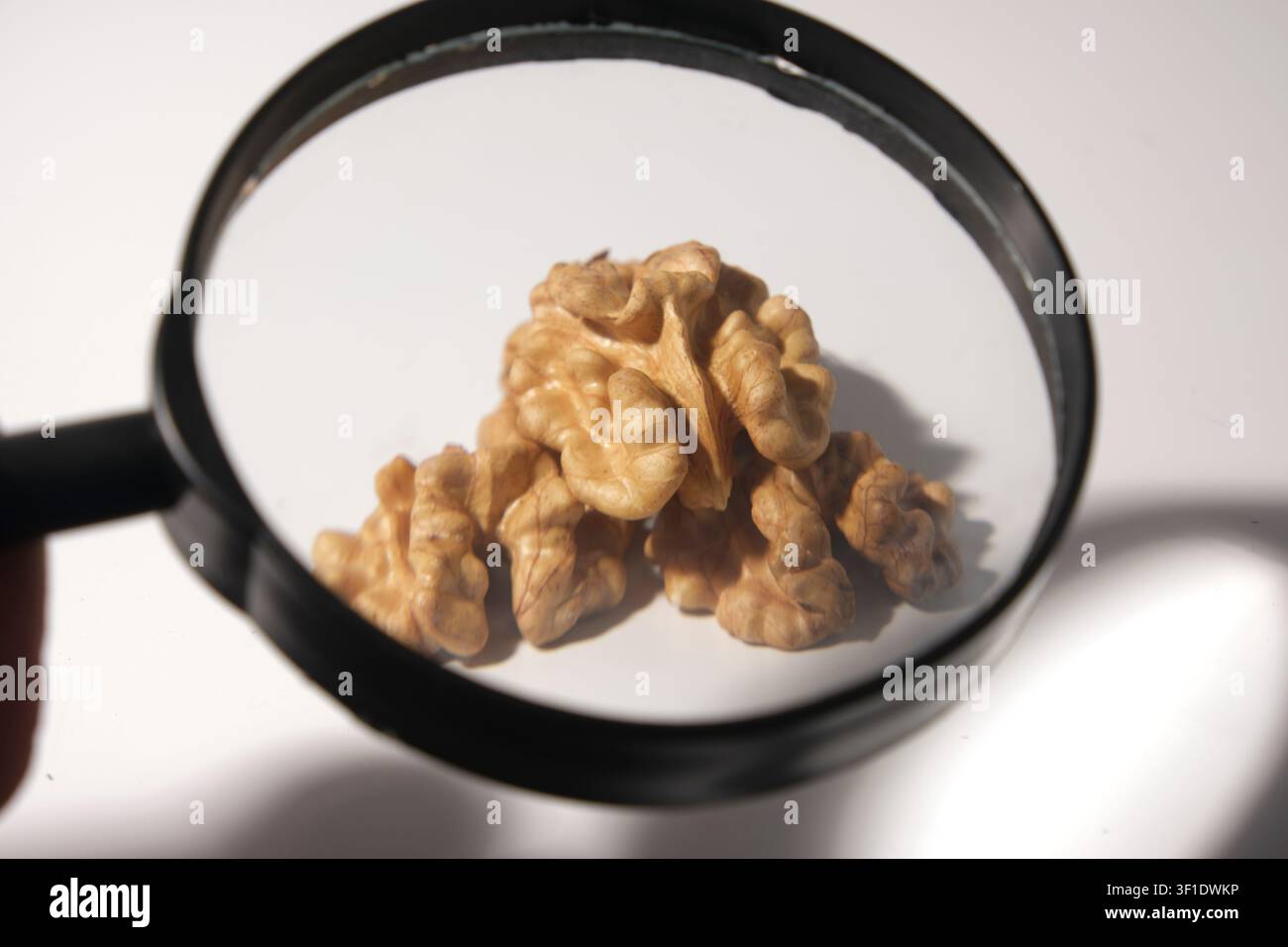 Shelled walnut halves arranged on white background close-up Stock Photo