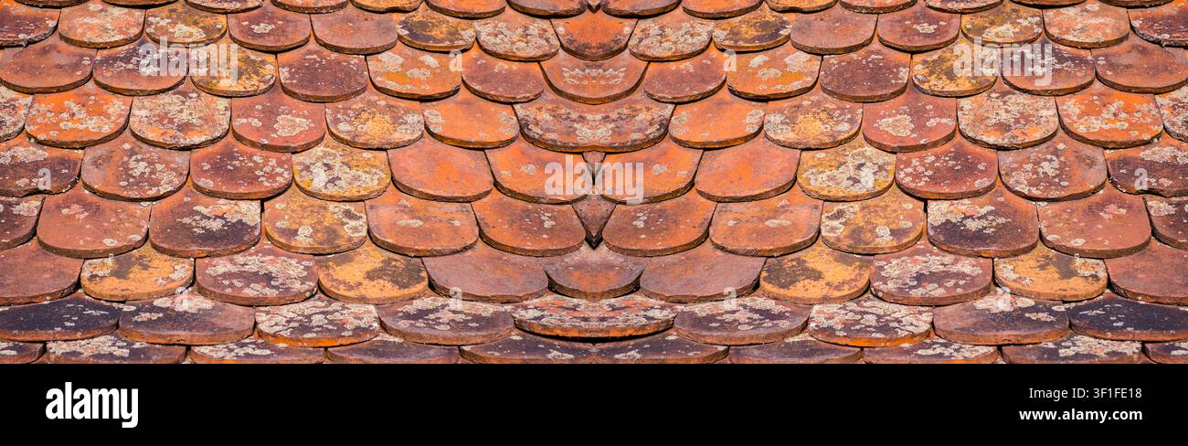 old ceramic shingle with lichens Stock Photo