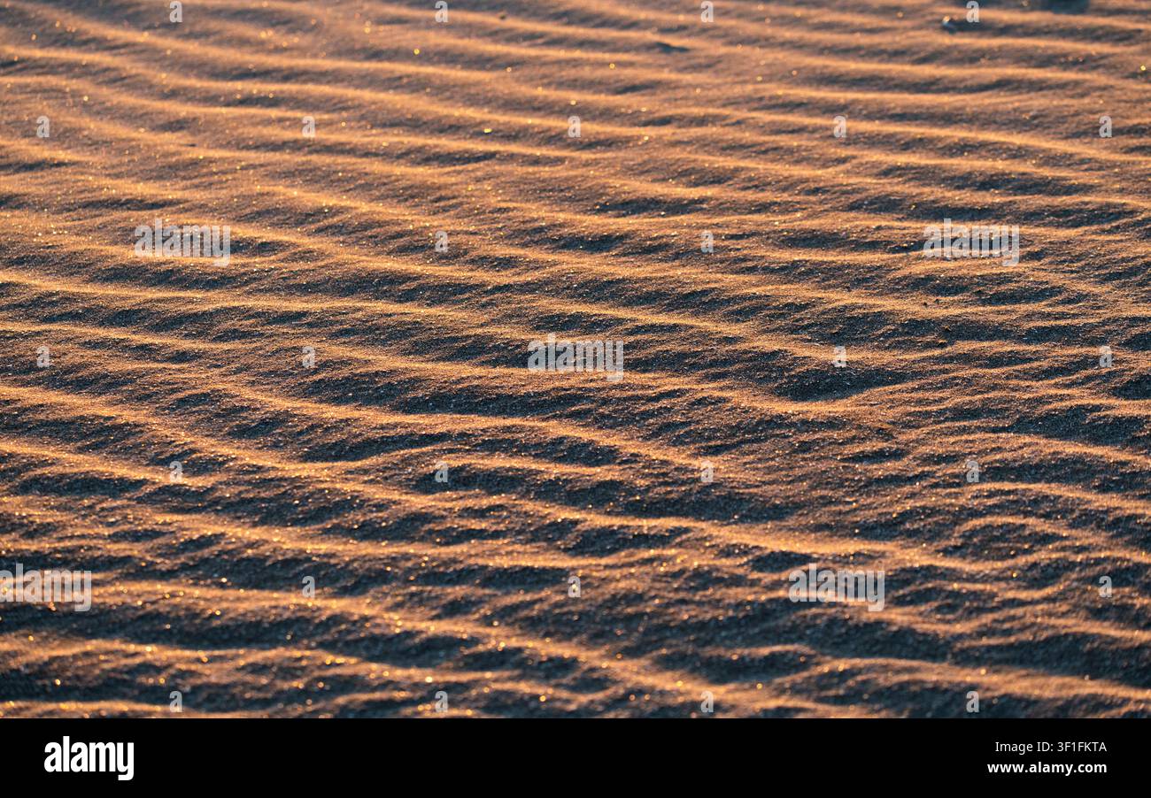 Golden Sand Ripple Texture on a Sunny Beach Stock Photo