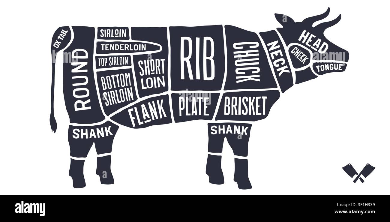Cow, Beef, hand-drawn butcher cuts meat guide Stock Vector