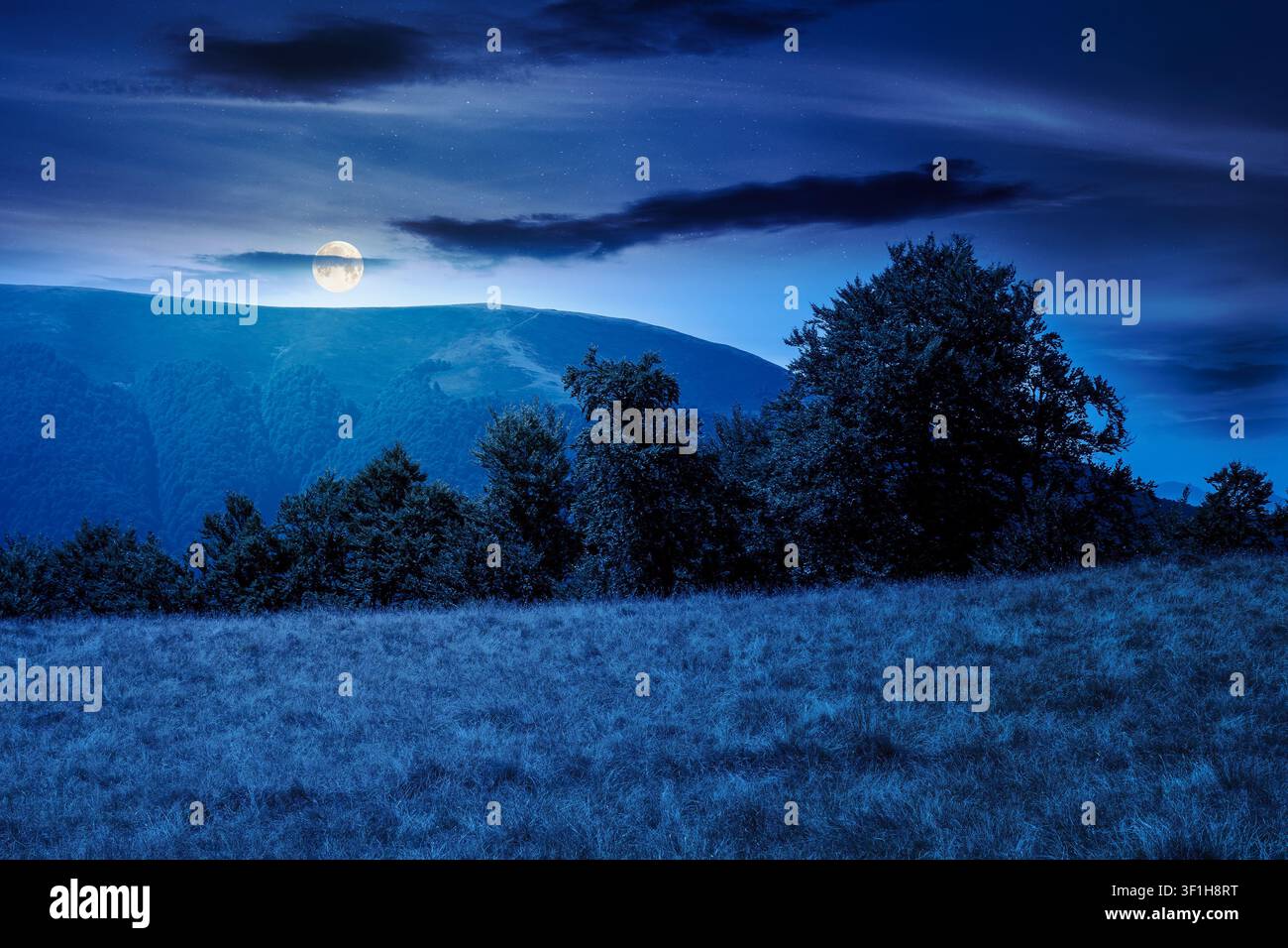 mountain landscape of ukraine at night. full moon over alpine grassy meadow and deciduous forest on the hill. late summer nature background for carpat Stock Photo