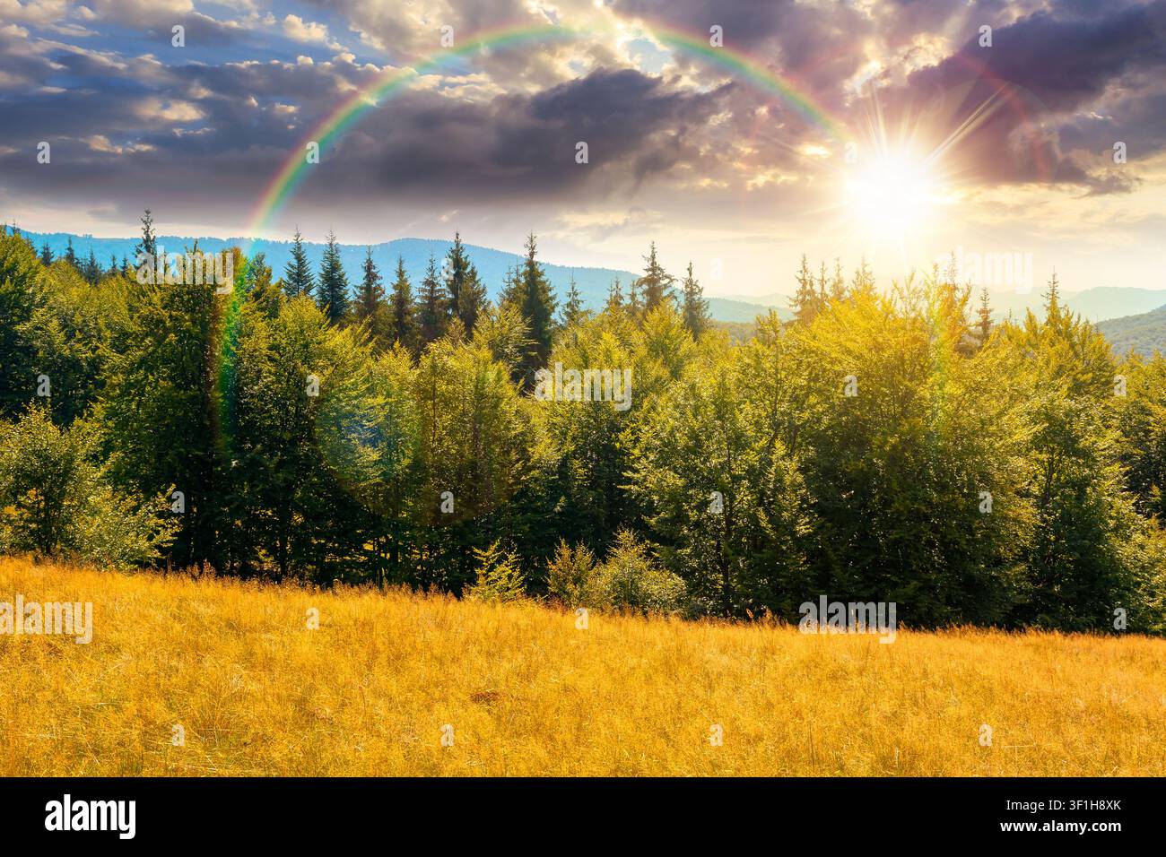 sunset over mountain landscape of ukraine. alpine grassy meadow and deciduous forest on the hill. late summer nature background for carpathian adventu Stock Photo