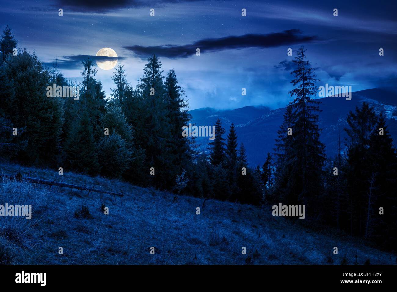 mountain landscape ukraine with spruce forest at night. full moon over rural valley of podobovets in the distance. dark sky. mysterious background for Stock Photo