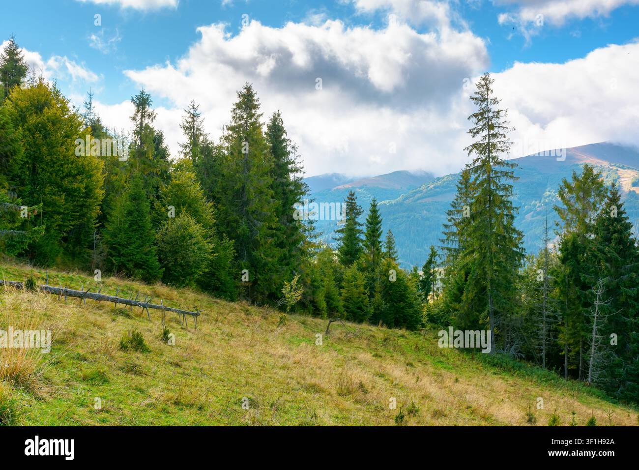 mountain landscape of ukraine with spruce forest. rural valley of podobovets in the distance. cloudy sky. serotinal background for carpathian countrys Stock Photo