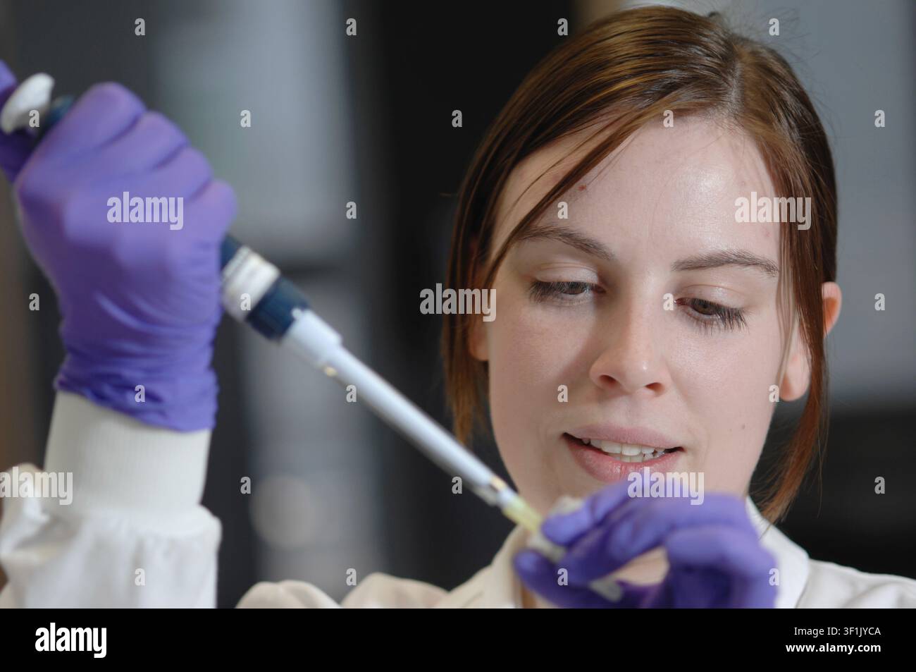 A female scientist using a pipette in a lab. Stock Photo