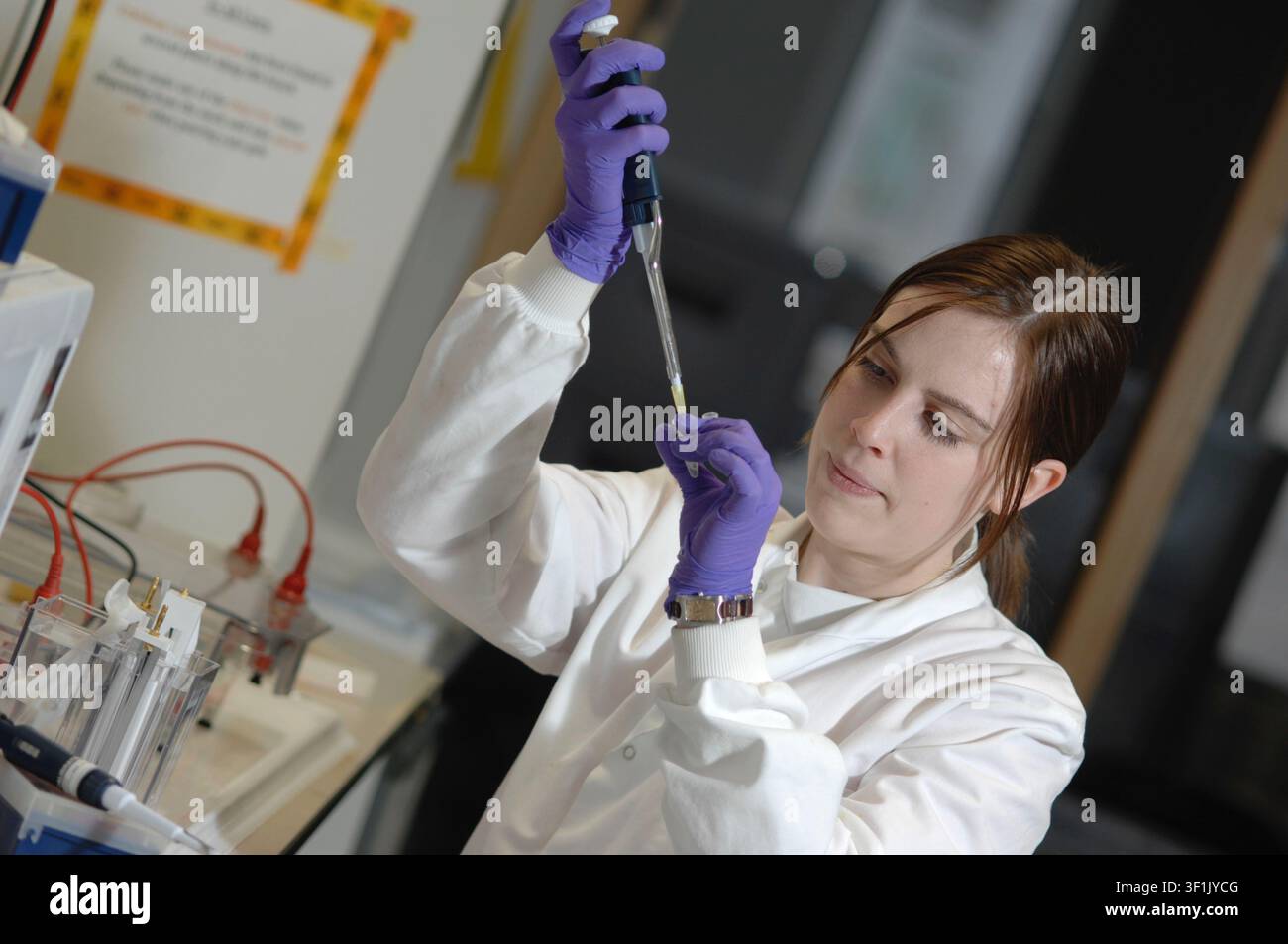 A female scientist using a pipette in a lab. Stock Photo